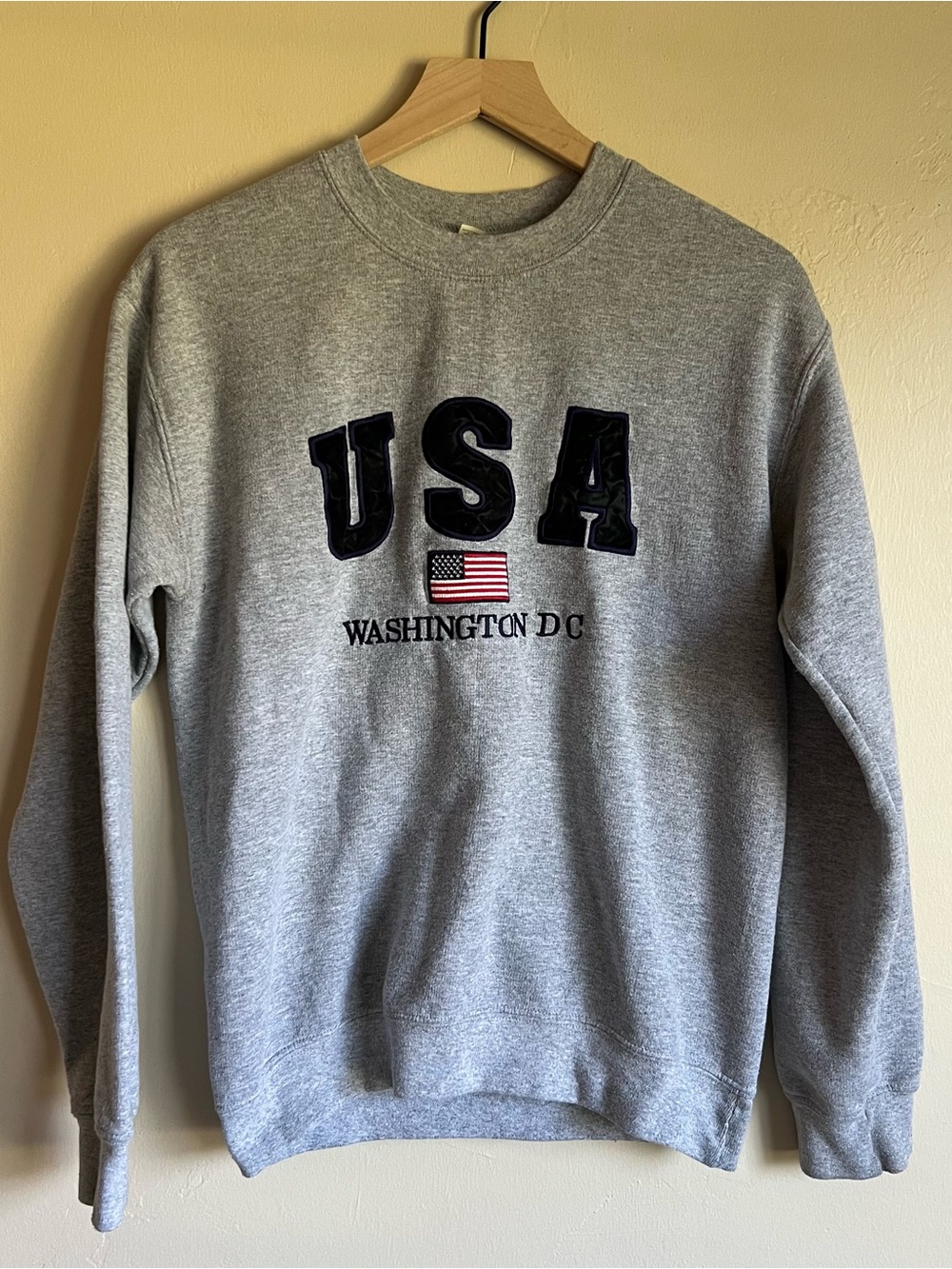 USA Washington DC Grey Sweatshirt